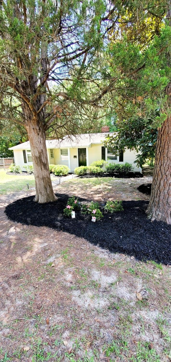Property building, Garden