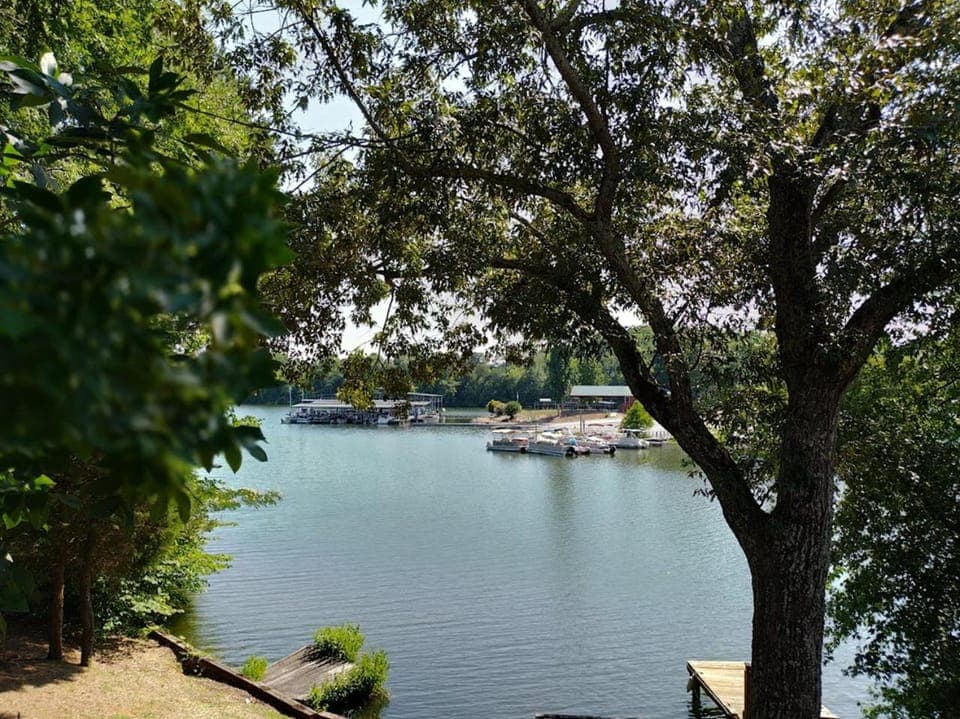 Lake view