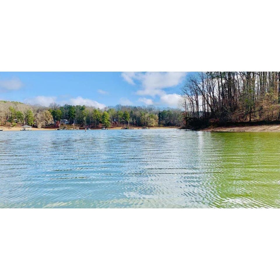 Lake view