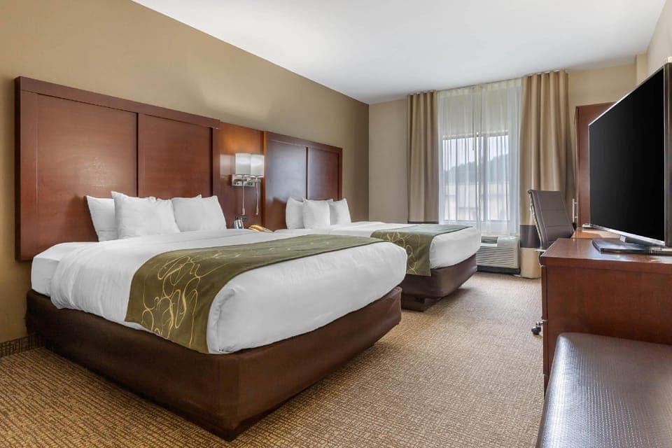 Suite room