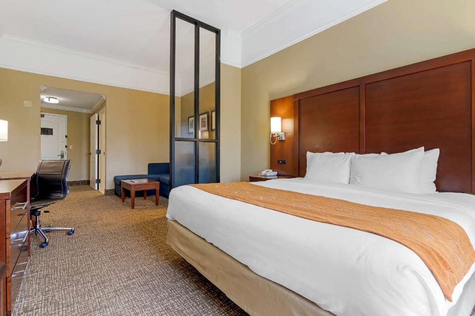 Suite room