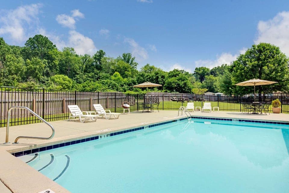 Swimming pool [outdoor]