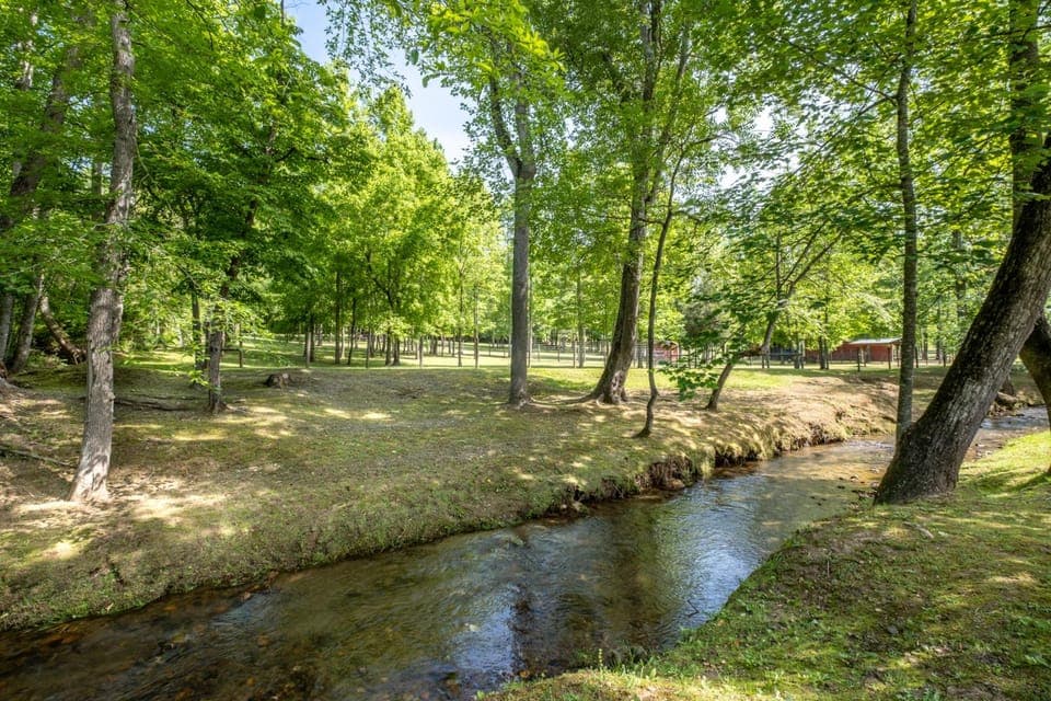 Surrounding environment