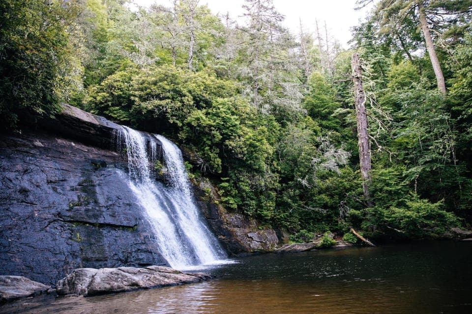 Surrounding environment