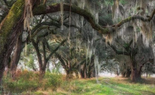 The George Hotel Hotel in South Carolina