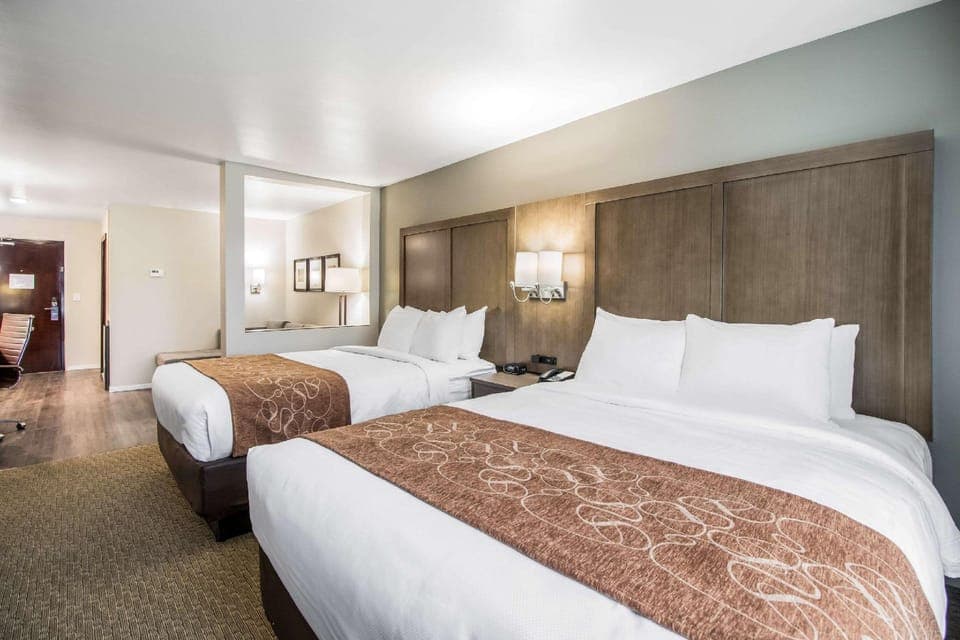 Suite room