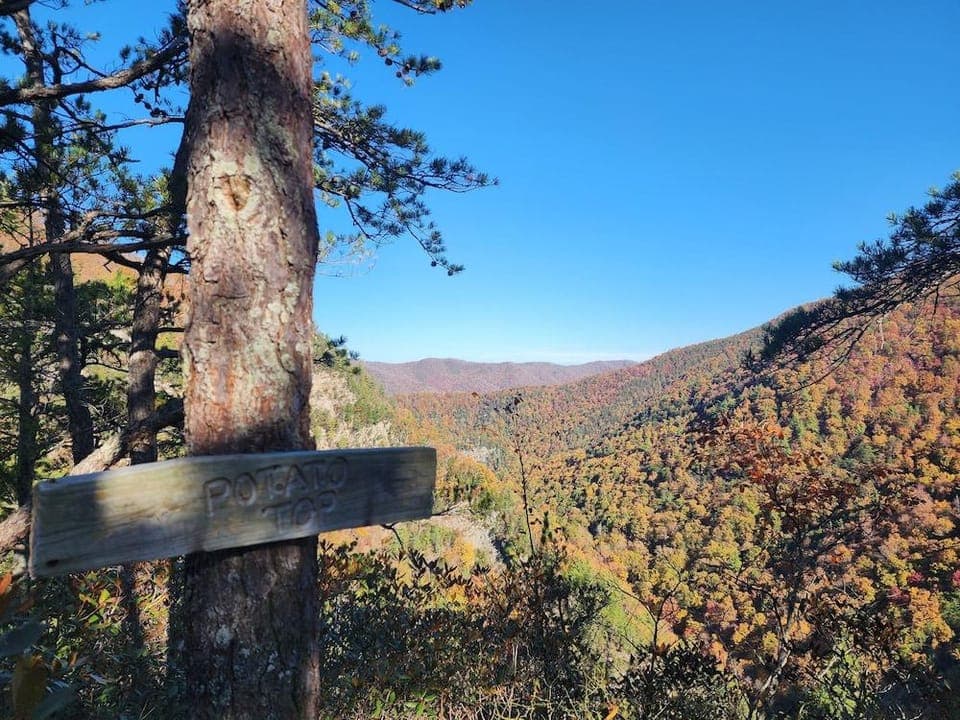 Black Bear Resort Hotel in Tennessee