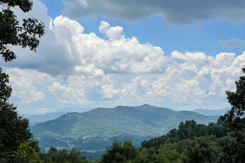 Smoky Mtn Cabin by Cataloochee Valley Elk Viewing! House in Tennessee