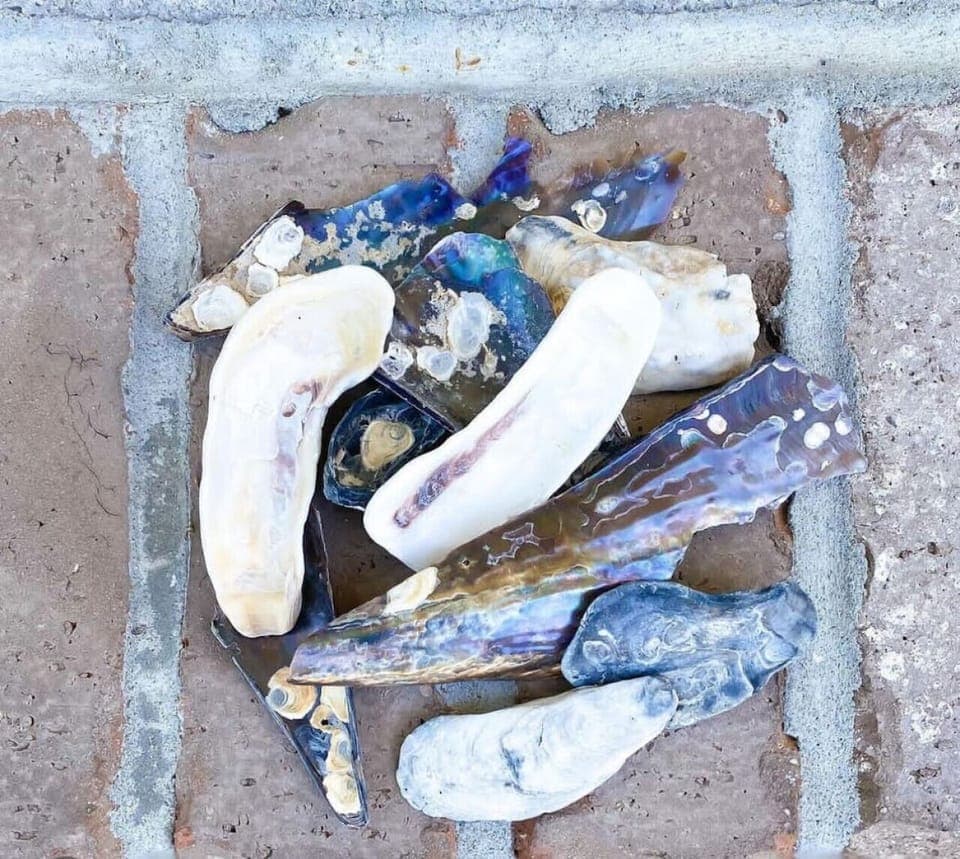 Local Beach Treasures