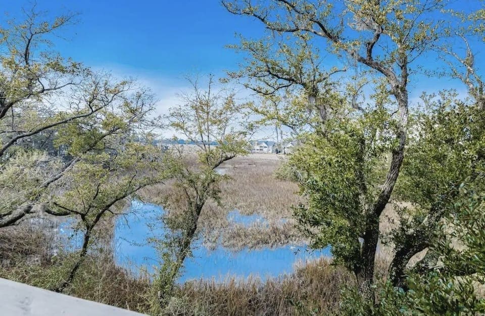 Marsh View