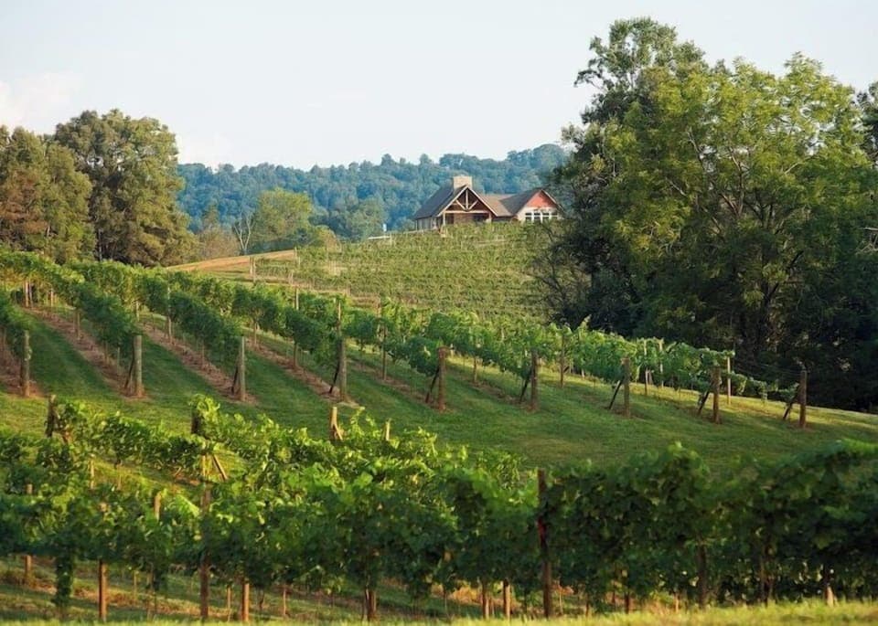 Local Alert!! Just over 10 minutes from The Lily Pad, great friendly staff! Great spot for an afternoon tour + tasting or to pick up a few bottles to take home.