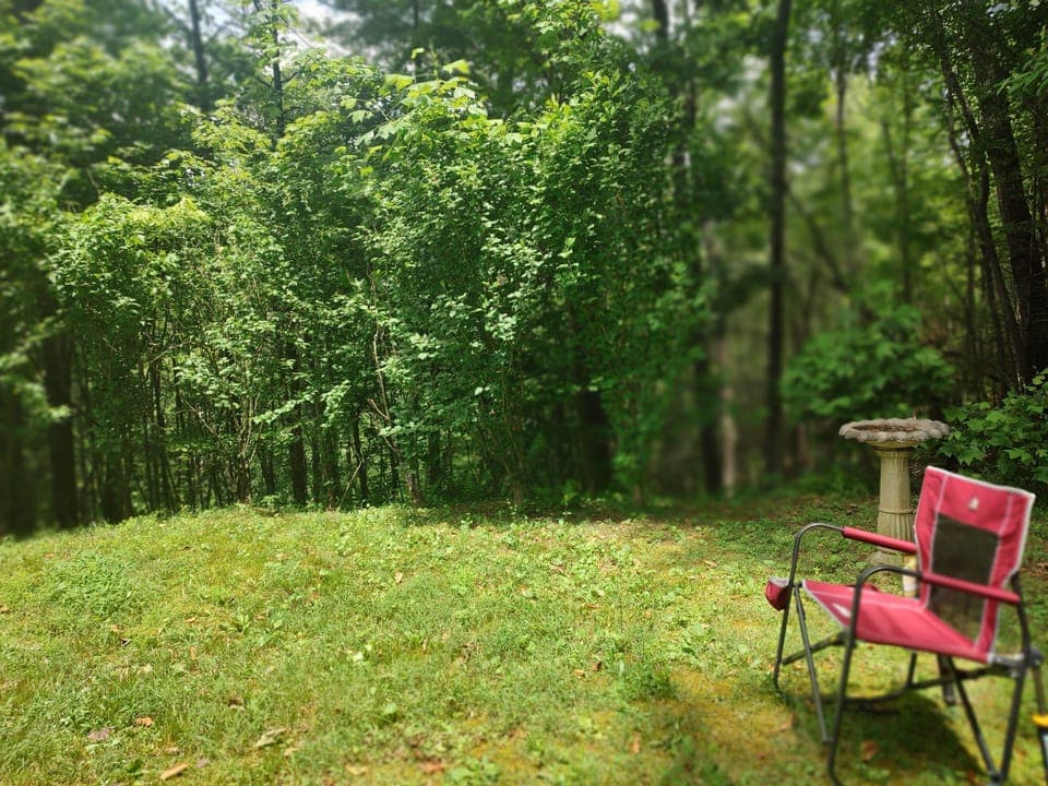 Front-row seat to nature’s quiet show. Bring your coffee, it'll supply the birds.