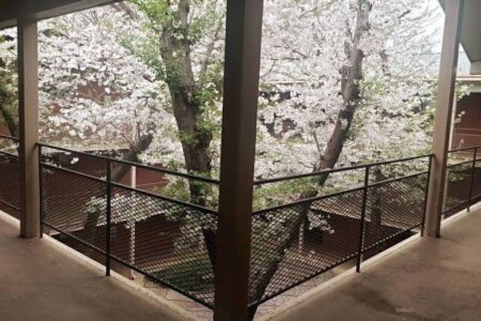 Courtyard at Door Entrance