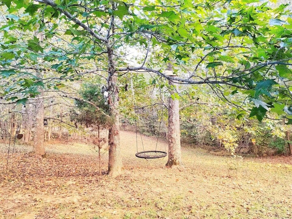 Tire Swing