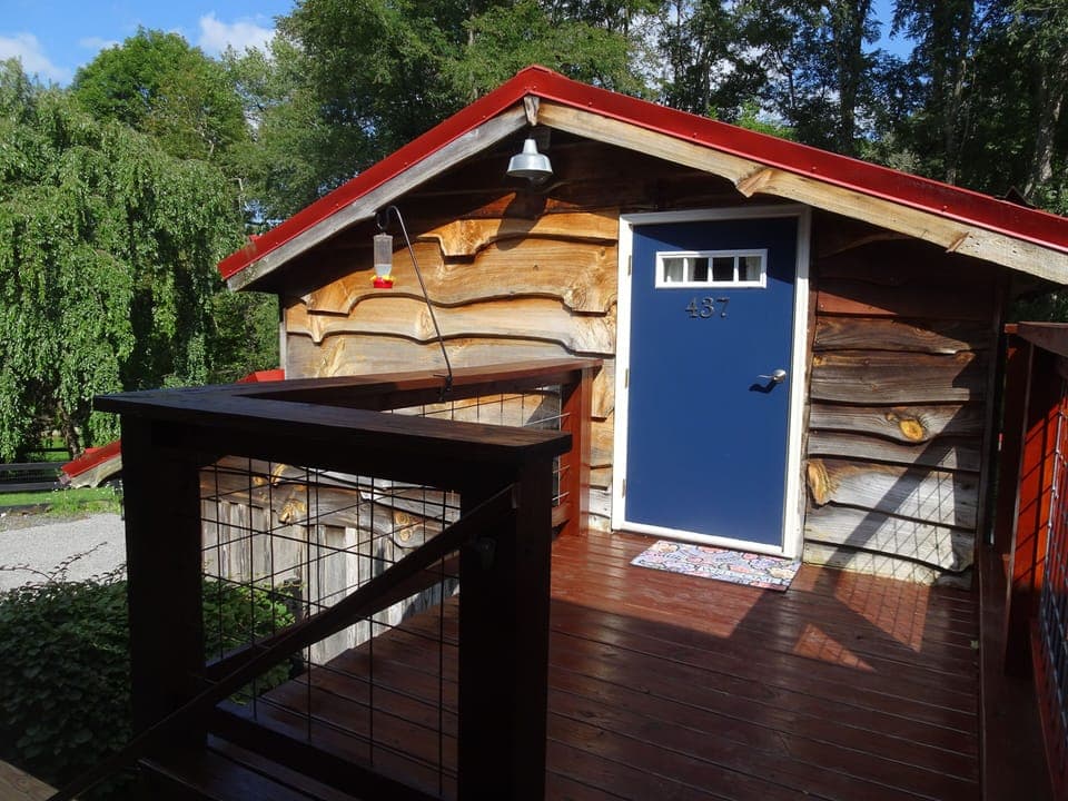 Deck in summer

