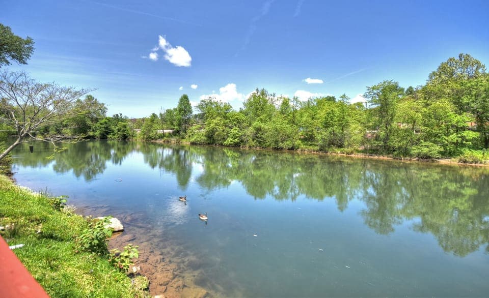 The Ocoee River