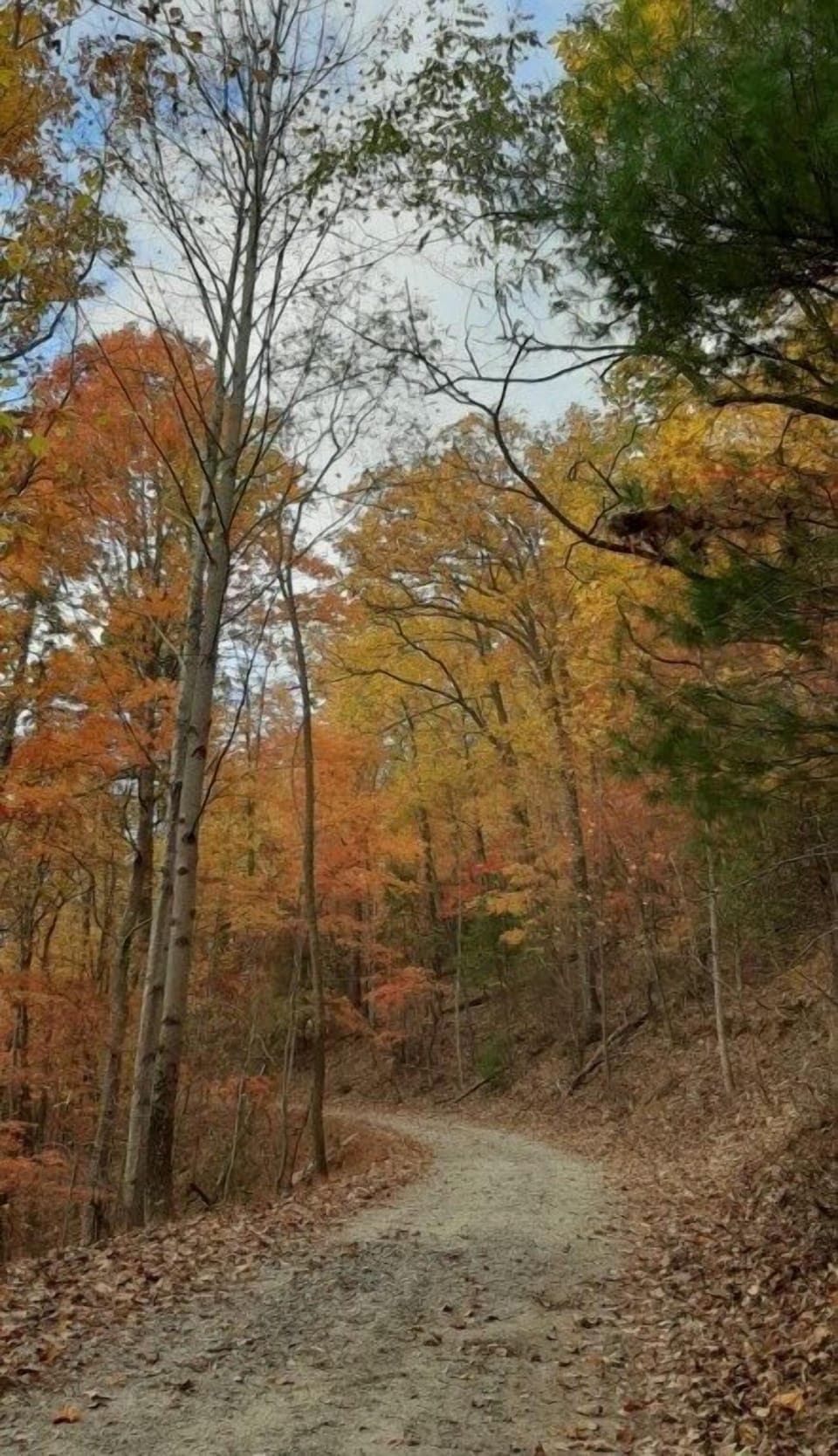 The perfect place to watch the seasonal leaves change colors