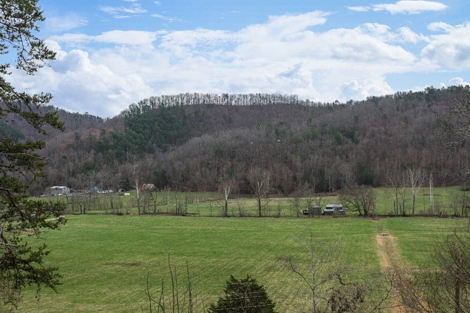 views of the meadow and the mountain