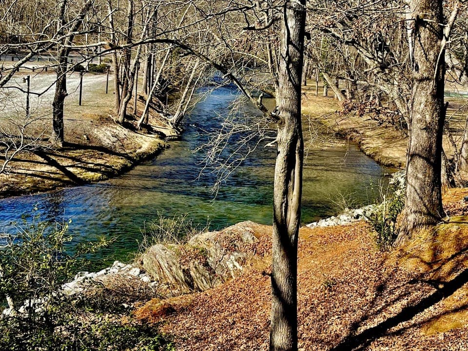 Beautiful Chattahoochee River View AND Direct Access to Water