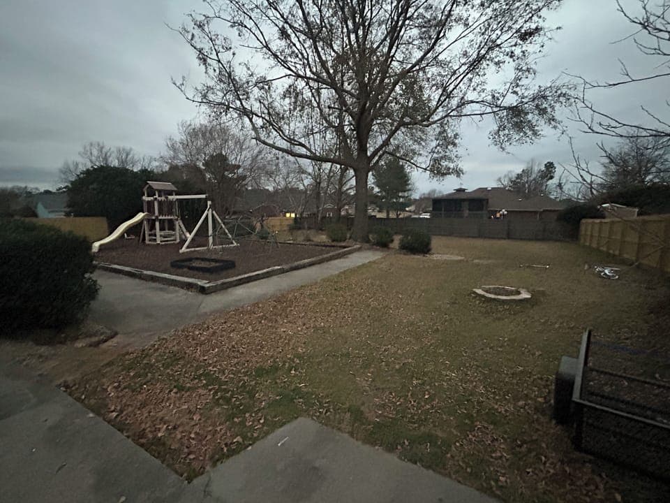 Backyard