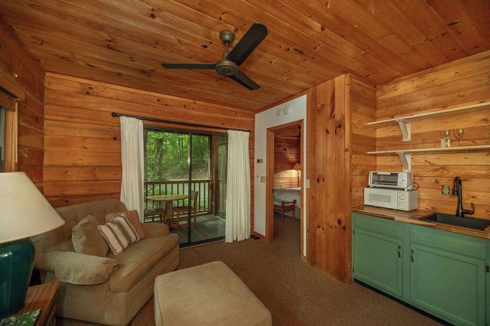 Cabin #1 Living Area & Kitchenette