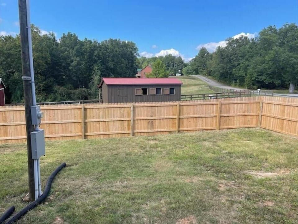 Back yard