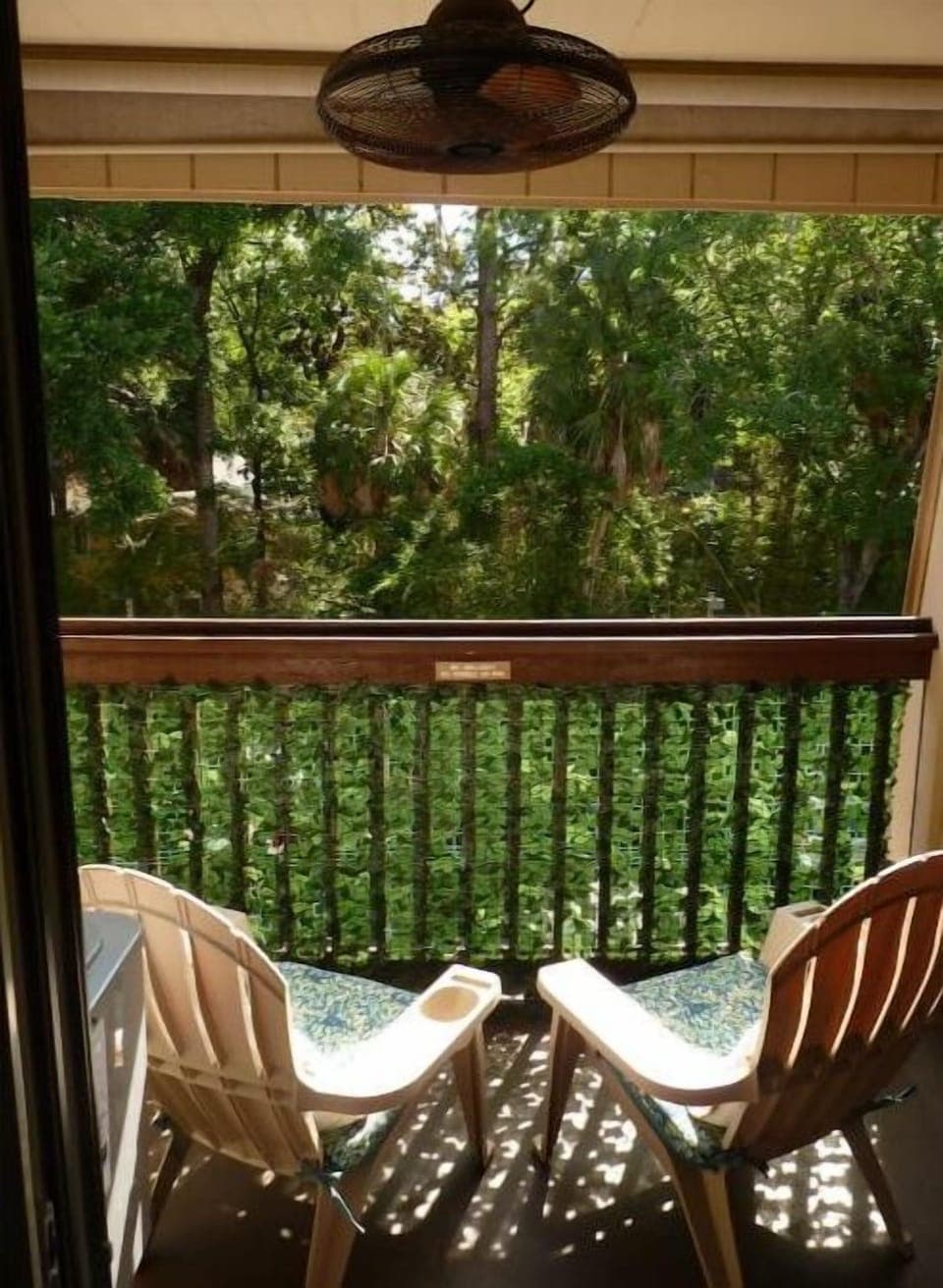 Where mornings start with sunshine and palm views!