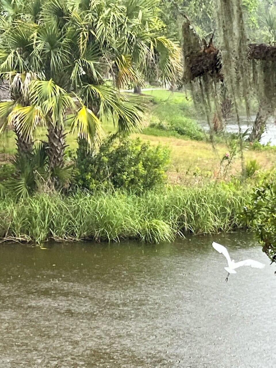 Bird watcher's paradise