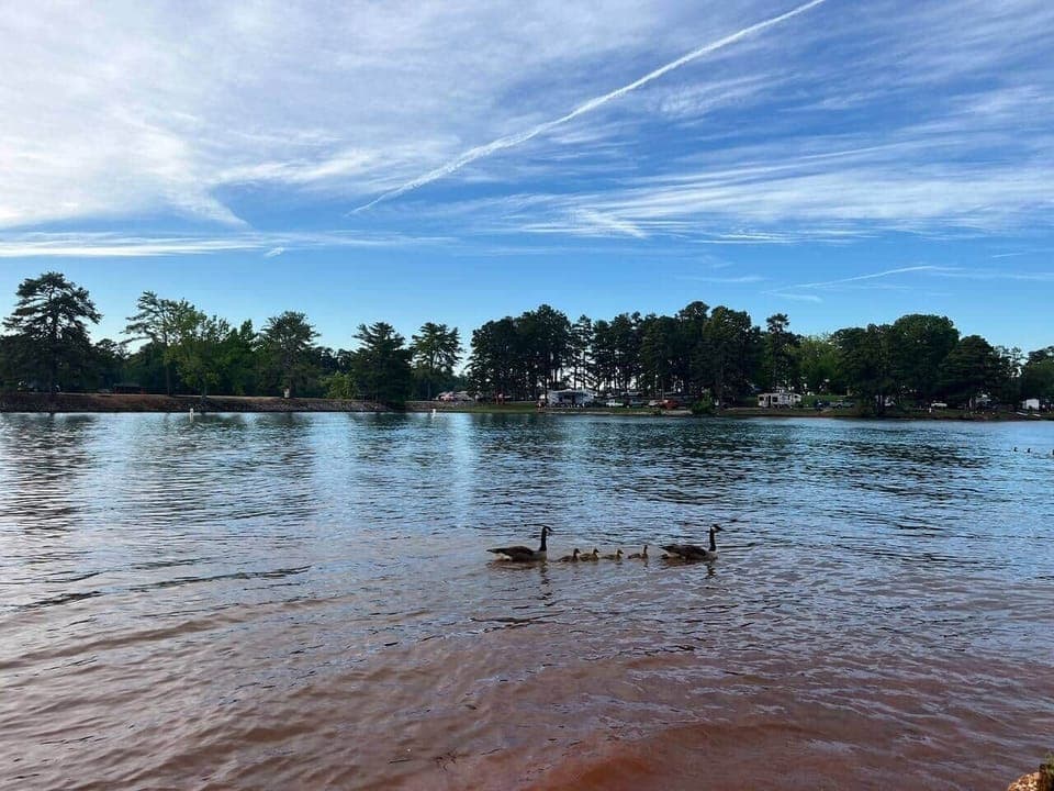 Enjoy the peaceful beauty of South Cove County Park, just minutes away from the home. Perfect for fishing, swimming, kayaking, or relaxing by the shore—watch geese glide across the water under a big Carolina sky. A true local gem!
