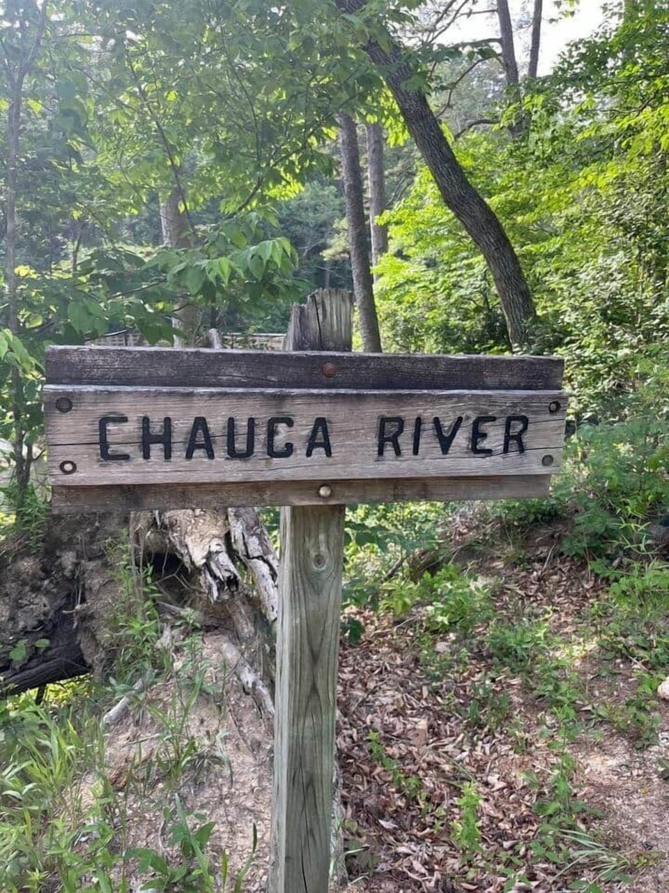 Chau Ram Park in Westminster, SC is a local favorite with a stunning waterfall, riverside trails, and smooth rock beaches perfect for wading or picnicking. A peaceful outdoor escape just a short drive from your stay!