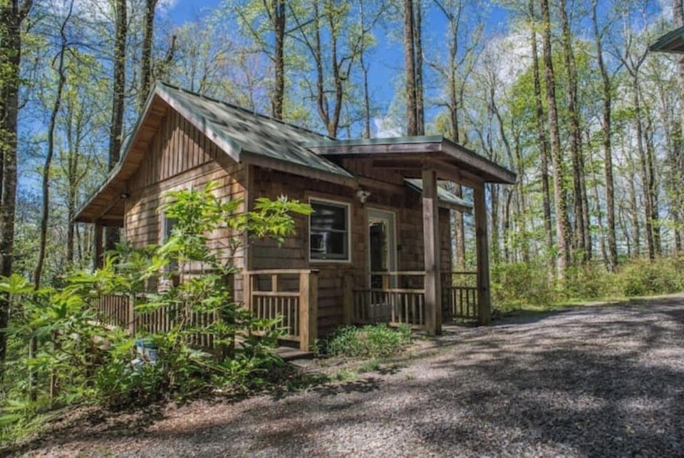 South side of Cozy Guest Cabin