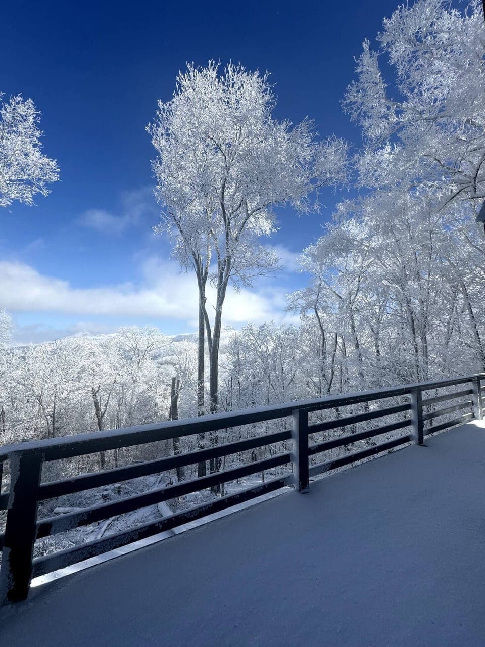 View from property