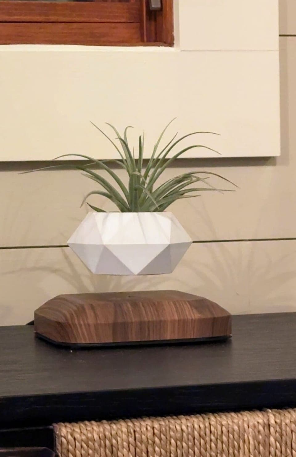 Unique levitating pot adds whimsical charm to sunny great room 