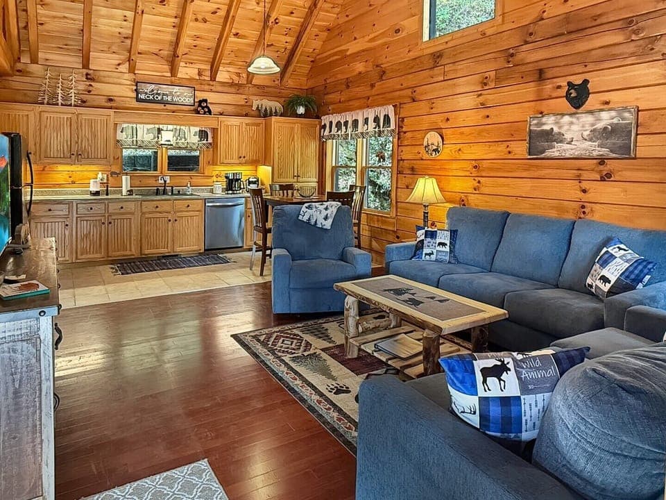 Living Room 1