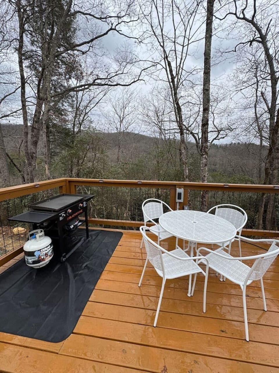 Blackstone grill an outdoor dining table