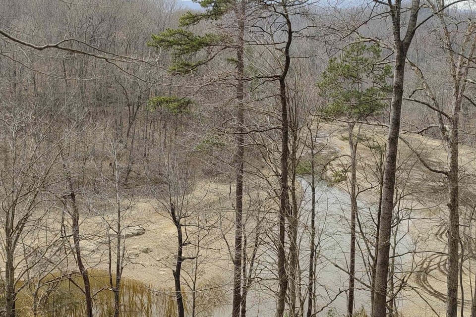 Scenic view awaits. And, enjoy breathtaking river views and serene forest vibes from your own private retreat!