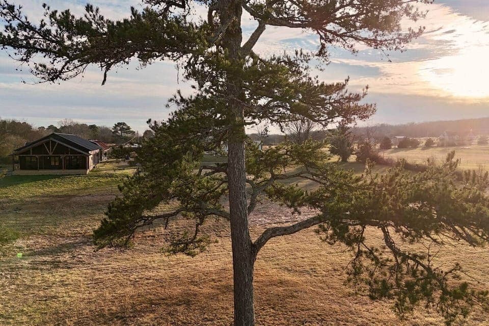 Front Pasture