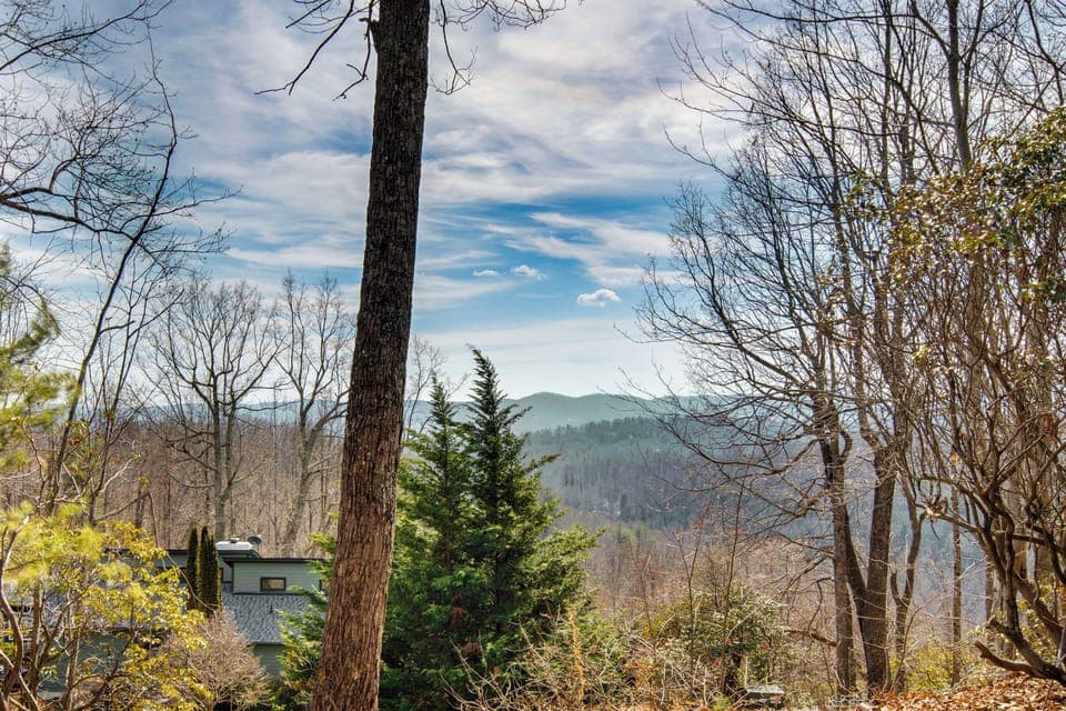 View From Deck
