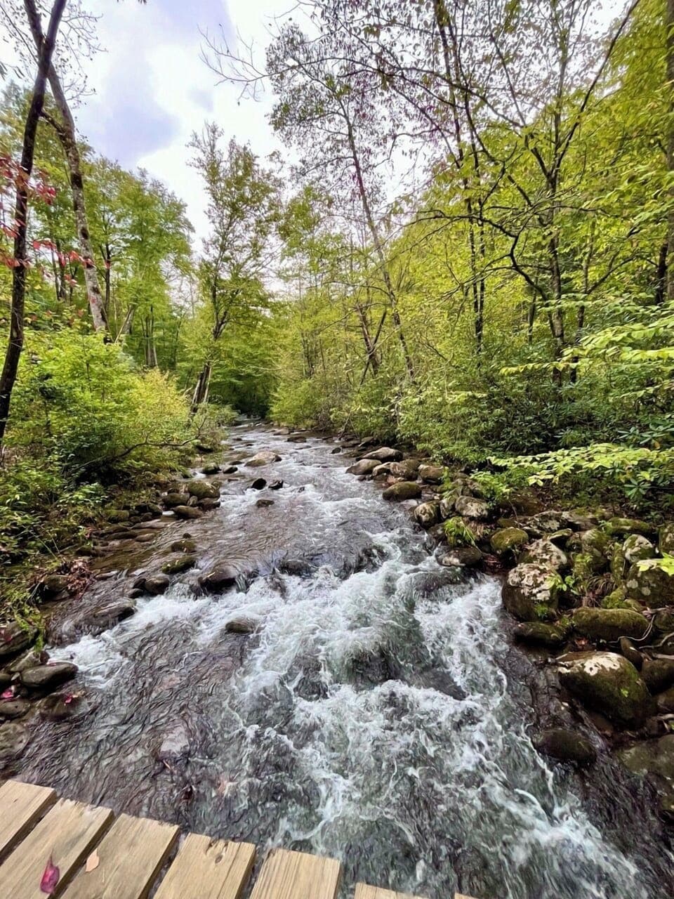 Take a short walk through the neighborhood and follow the creek as it winds through the mountains. Cross the wooden bridge, listen to the water, and enjoy a quiet moment in nature.