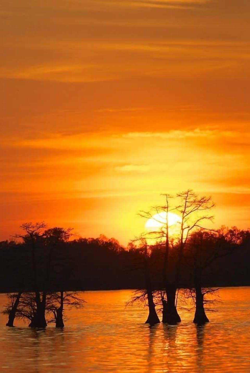 Photo by John Clendenin.  Pic taken on the lake.