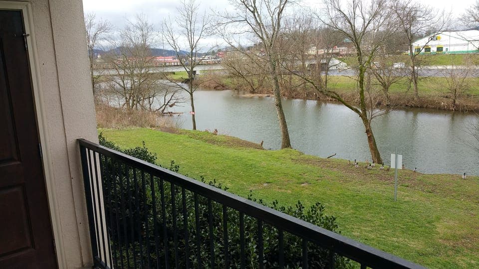 Back Porch