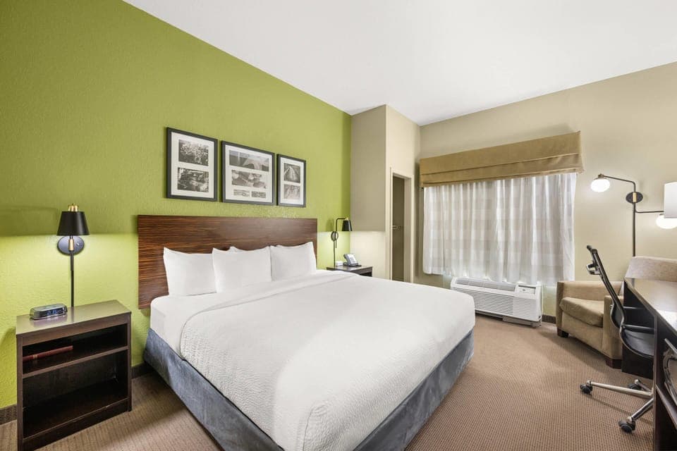 Room, 1 King Bed, Accessible, Non Smoking | Desk, iron/ironing board, cribs/infant beds, free WiFi