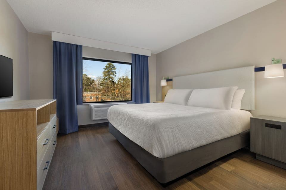 Standard Room, 1 King Bed, Non Smoking | Premium bedding, pillowtop beds, individually furnished, desk