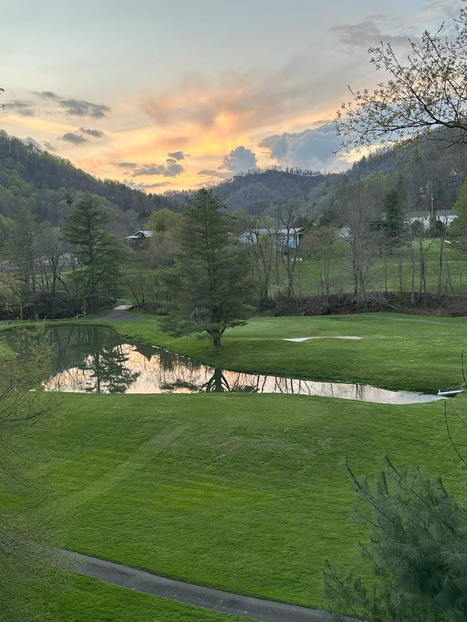 View from A Happy Roost