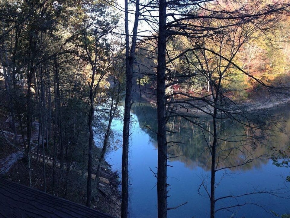 The beauty of fall