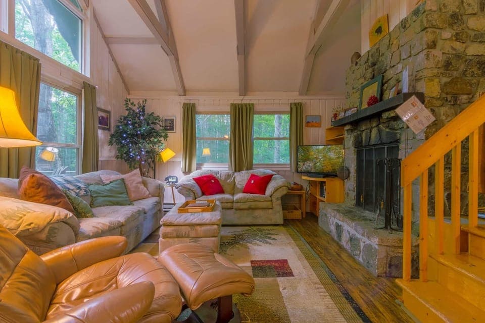 Benzine Farm Living Room with Lots of Windows