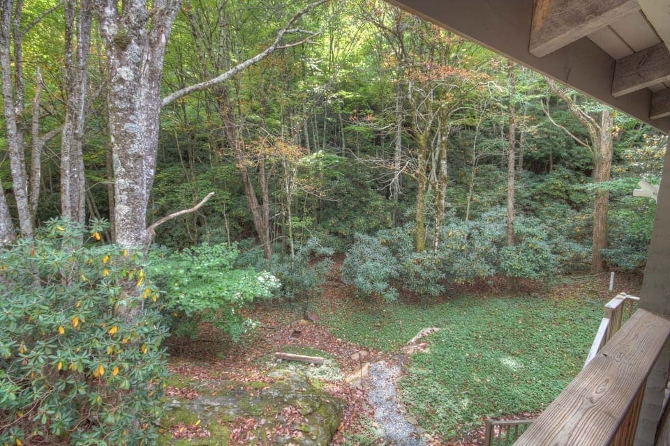 Wooded Setting