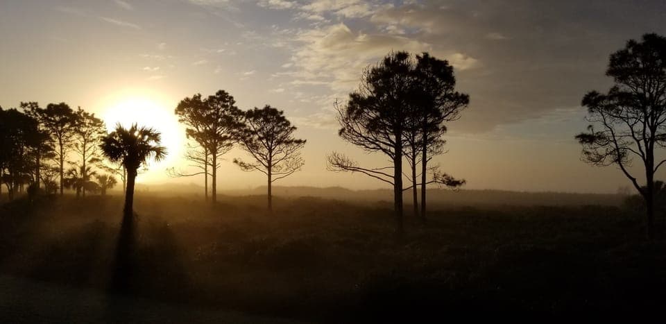 Morning glory. Early sunrise views directly from our window.