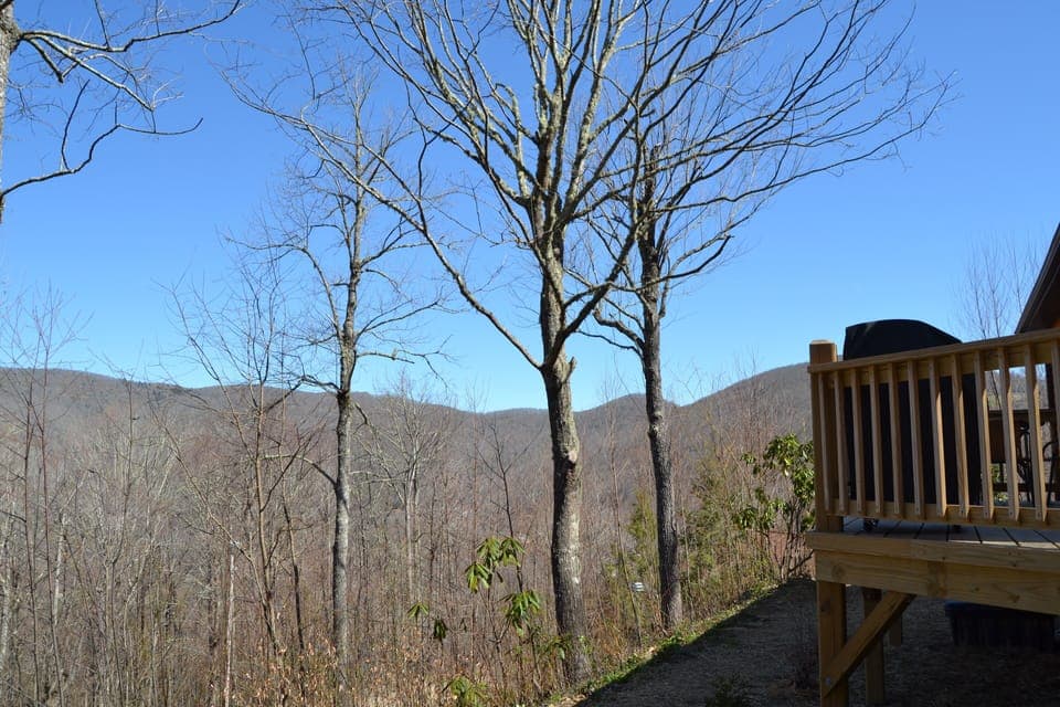 view