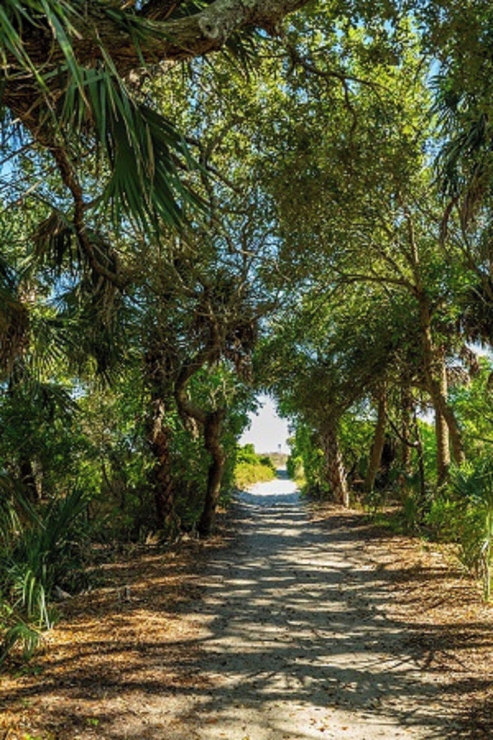 Beach Access